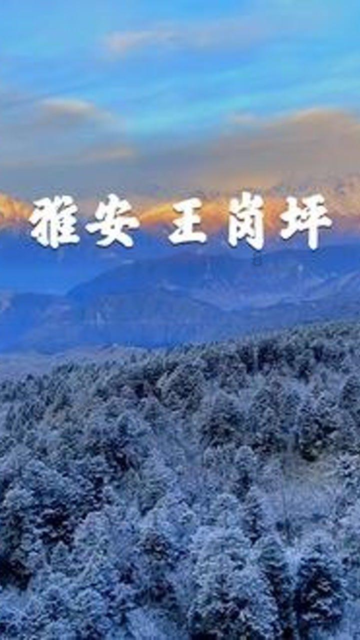 繁花次第不负春 中国首辆桑塔纳的背后，是“汽车人”的工匠梦